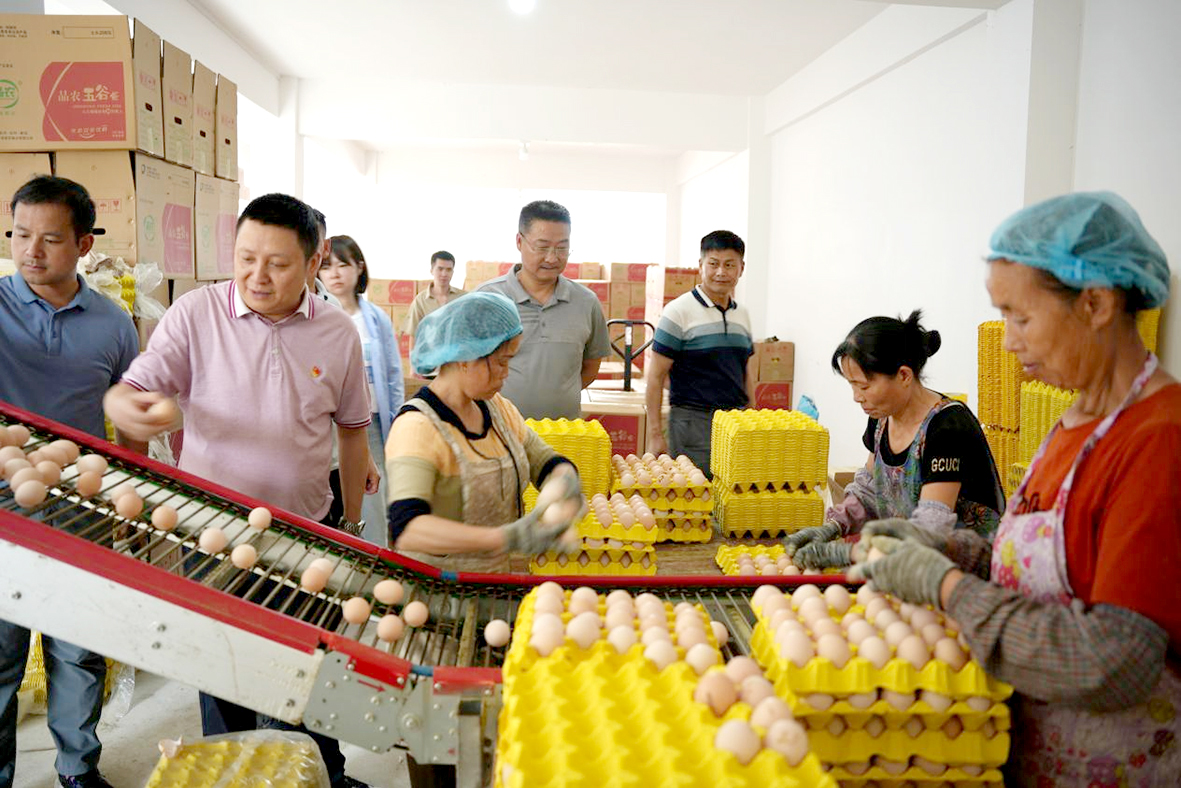 图片4.jpg