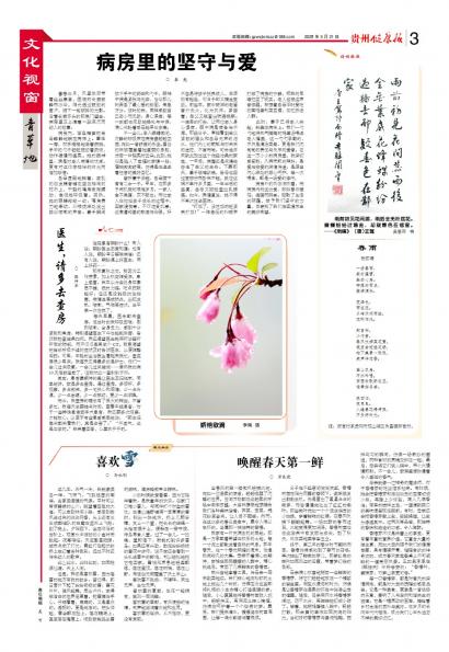 贵州健康报