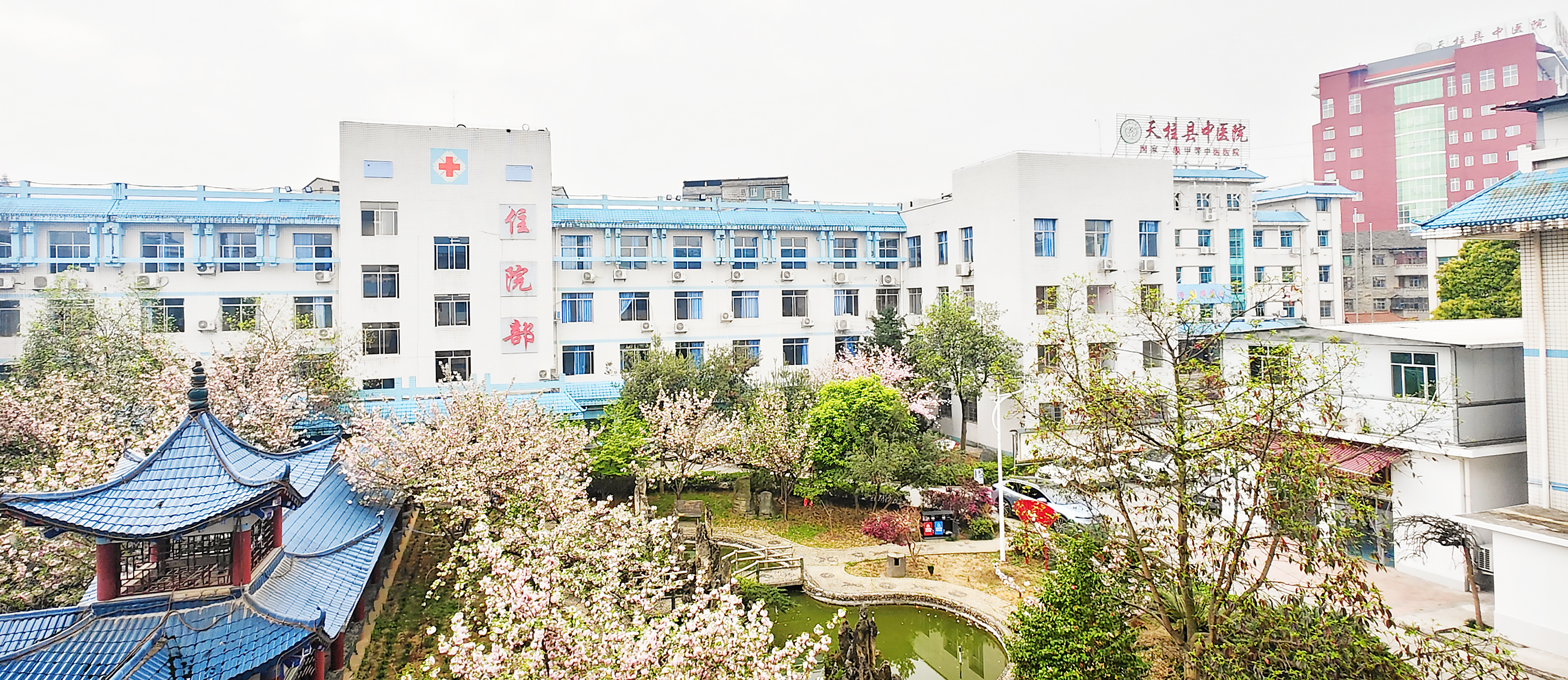 微信图片_20250415095300.jpg