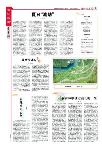 贵州健康报