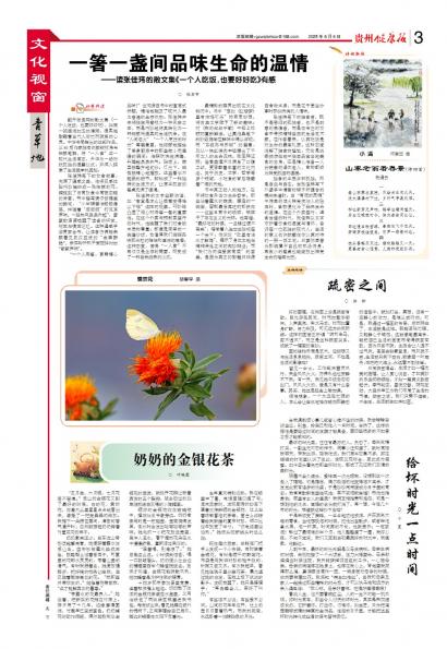 贵州健康报