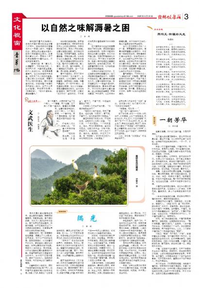 贵州健康报