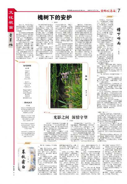 贵州健康报