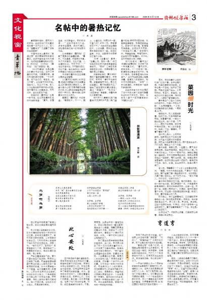 贵州健康报