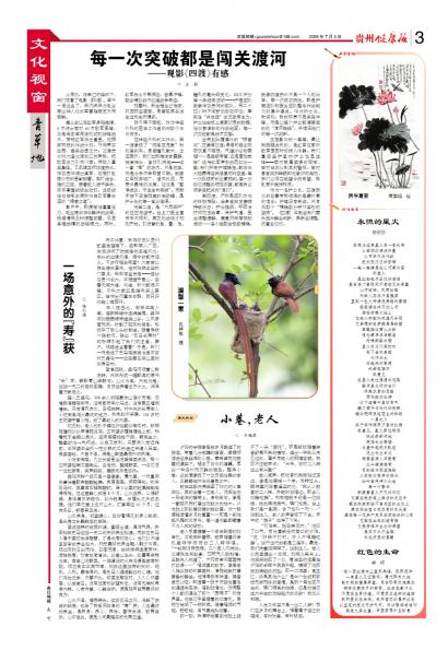贵州健康报